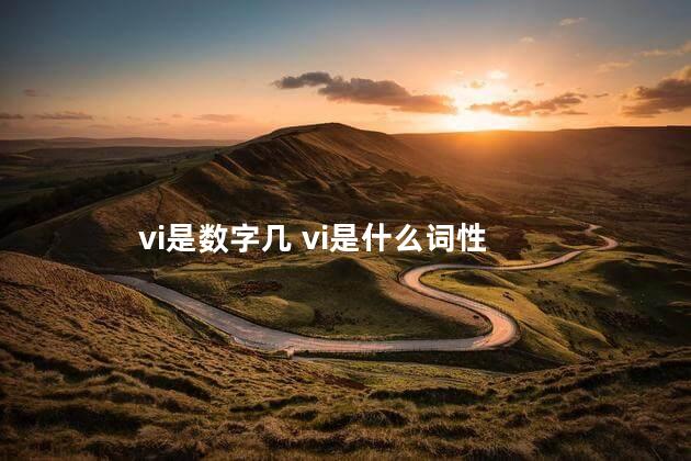 vi是数字几 vi是什么词性
